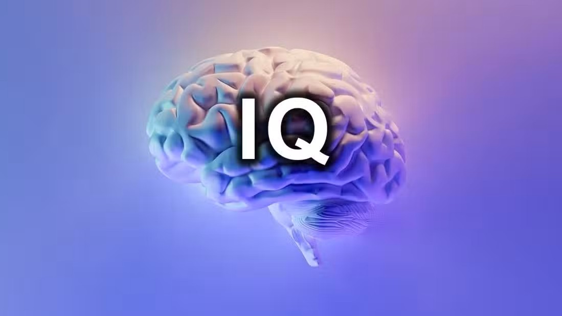135b6e18174dfb3d.jpg