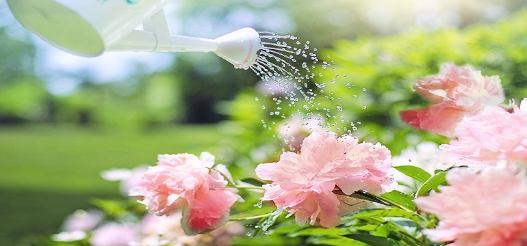 86f4f7c913b924d5.jpg